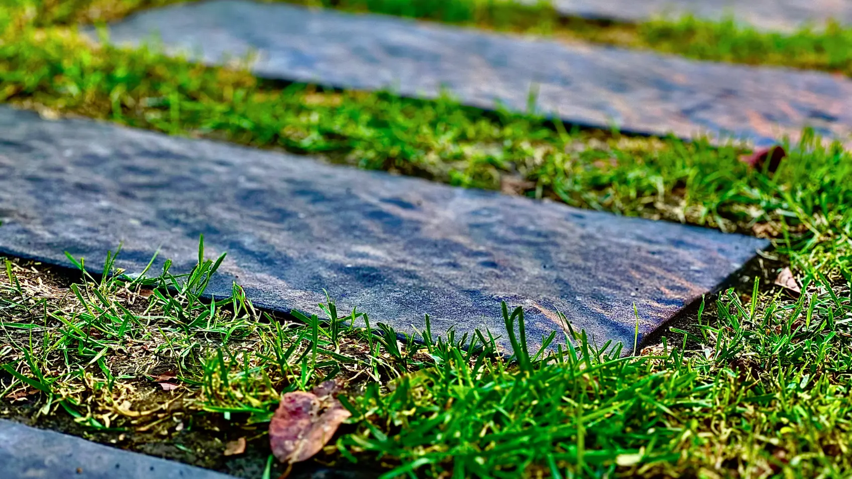 Фото 1 пошаговая плитка Stone Черный Сланец на садовой дорожке